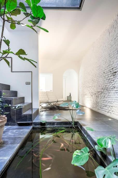 Elegante Duplex Centro Sevilla Matahacas 1 Bagian luar foto
